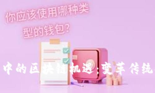 : 探索民生金融中的区块链机遇：变革传统金融的未来之路