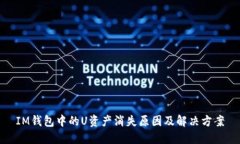 IM钱包中的U资产消失原因及解决方案
