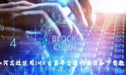 如何高效使用iMX交易平台进行交易和下载教程