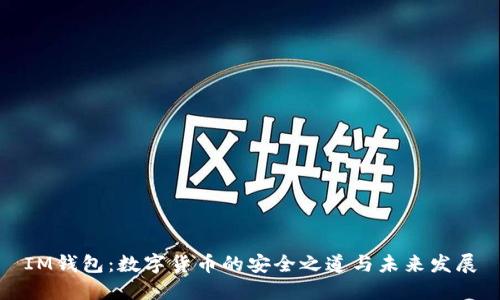 IM钱包：数字货币的安全之道与未来发展