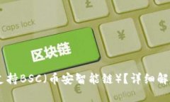IM钱包是否支持BSC（币安智能链）？详细解析与使